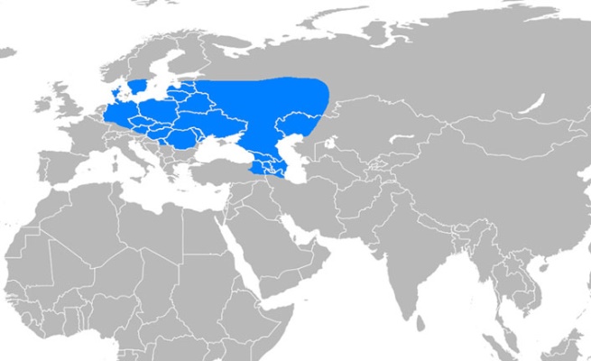 C:\Users\ILHAN\Desktop\TEMMUZ BULTENINE GIRECEKLER\avrupa_hun_imparatorlugu_ne_zaman_kurulmustur_atilla_ve_ildiz_donemi_maddeler_halinde_h95261_1fe58.jpg