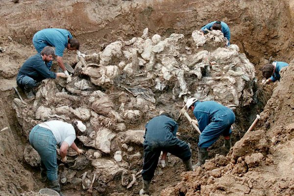 AcÄ± tarihin yÄ±l dÃ¶nÃ¼mÃ¼: Srebrenitsa KatliamÄ±