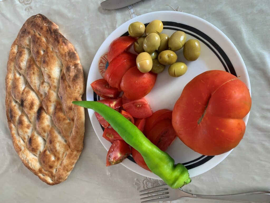 C:\Users\Ilhan\Desktop\Eylul ayına girecekler\DOMATESLER (2).JPG