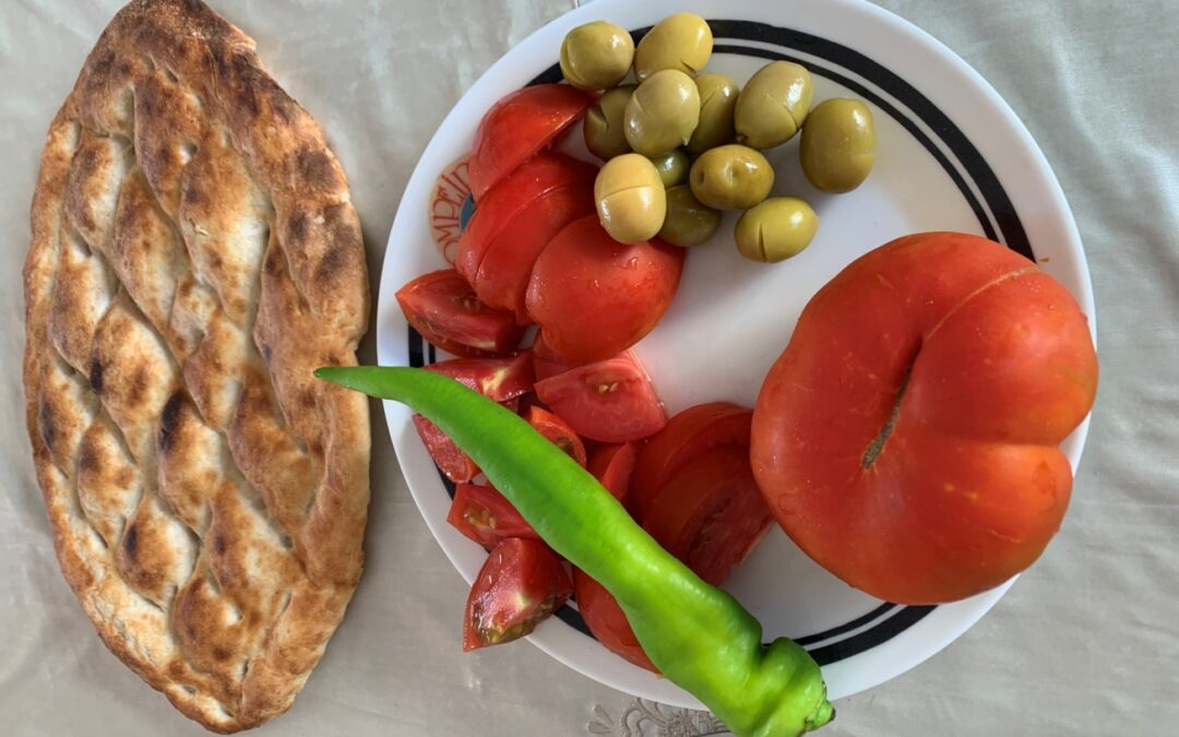 DOMATESLERİN MERSİN-HOLLANDA-MERSİN YOLCULUĞU… MERSİN TOPRAĞINDA YETİŞEN DOMATES DAHA LEZZETLİ