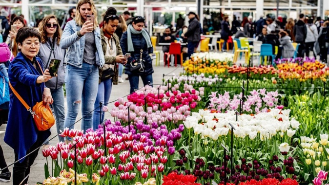 C:\Users\ILHAN\Desktop\ARALIK BULTENINE GIRECEKLER\keukenhof.jpg