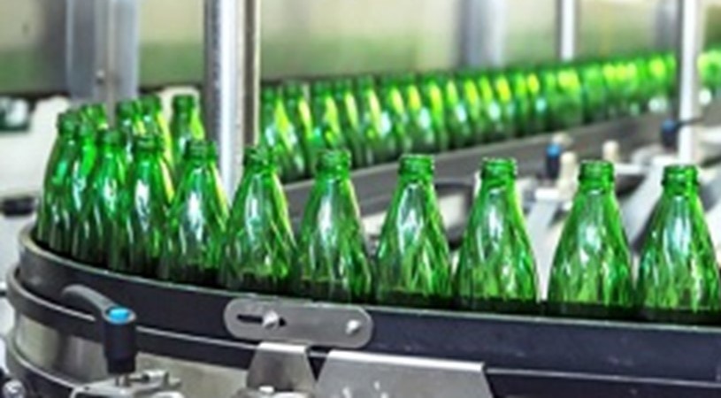 Afbeelding met binnen, groen, plant Automatisch gegenereerde beschrijving