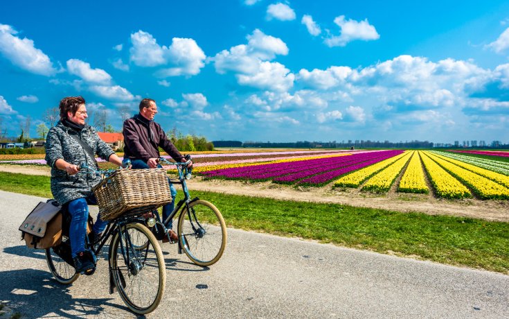 C:\Users\ILHAN\Desktop\OCAK BULTENINE GIRECEKLER\Holland (2).jpg