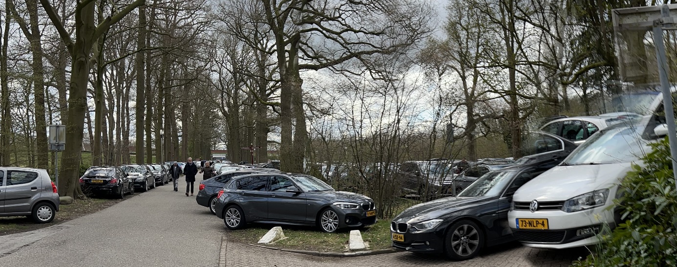 ağaç, açık hava, araba, yol içeren bir resim Açıklama otomatik olarak oluşturuldu