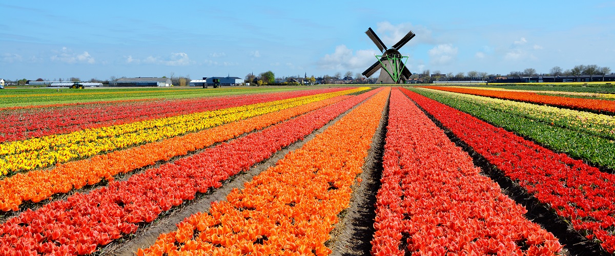 NT2.nl | Emigreren naar Nederland