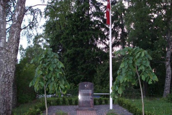 Afbeelding met boom, buitenshuis, plant Automatisch gegenereerde beschrijving