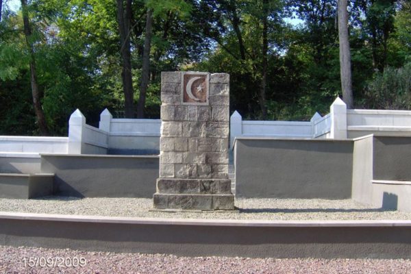 Afbeelding met boom, buitenshuis, springen, beton Automatisch gegenereerde beschrijving