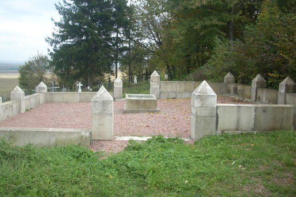 Afbeelding met gras, buitenshuis, boom, cement Automatisch gegenereerde beschrijving