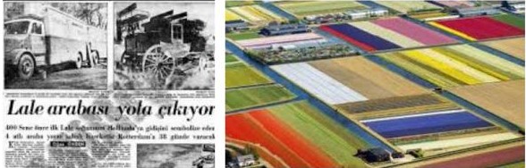 Afbeelding met tekst, schermopname, boek, kunst Automatisch gegenereerde beschrijving