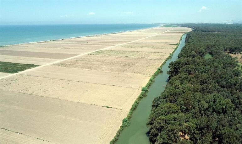 Afbeelding met buitenshuis, strand, Luchtfotografie, Vogelperspectief Automatisch gegenereerde beschrijving