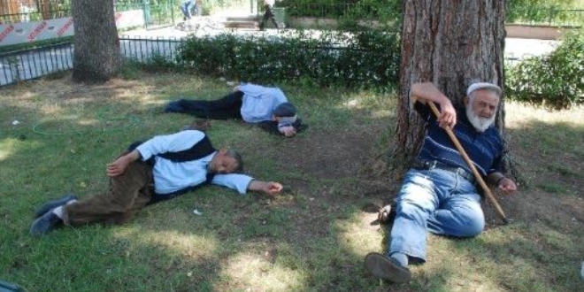 MUTLU BİR PAZAR GÜNÜ DİLEĞİYLE: HAVA SICAKLIĞININ CANLILARDA YARATTIĞI STRESİ YAŞAYAN İLHAN KARAÇAY, MERSİN (YAYLASINDAN) HOLLANDA (YAYLASINA) KAÇTI…
