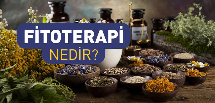 Fitoterapi Nedir? Ne İşe Yarar? Faydaları Nelerdir? Hangi Hastalıklarda Kullanılır? | İslam ve İhsan