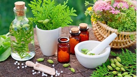 Homeopati | DR Sevil Özkan | Tamamlayıcı Tıp Uzmanı