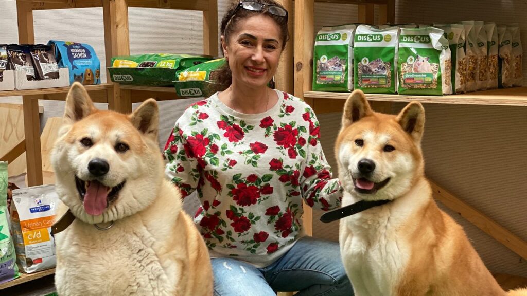 Afbeelding met hond, zoogdier, poseren Automatisch gegenereerde beschrijving