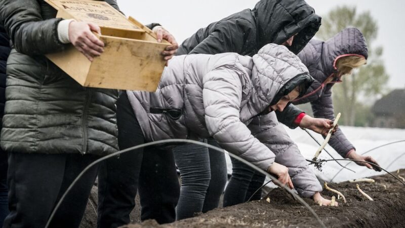 Afbeelding met kleding, persoon, buitenshuis, jasje Door AI gegenereerde inhoud is mogelijk onjuist.