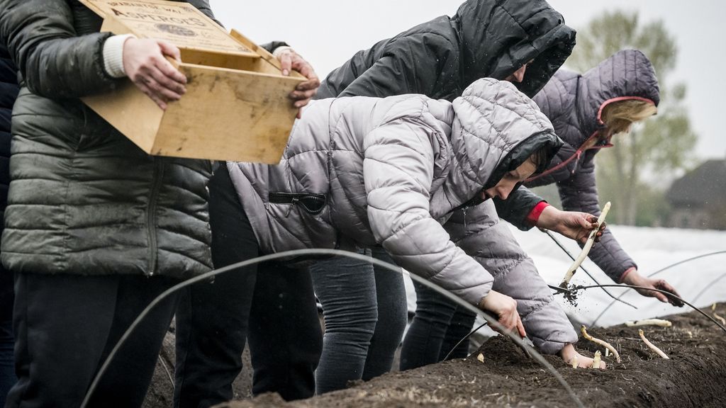Afbeelding met kleding, persoon, buitenshuis, jasje Door AI gegenereerde inhoud is mogelijk onjuist.