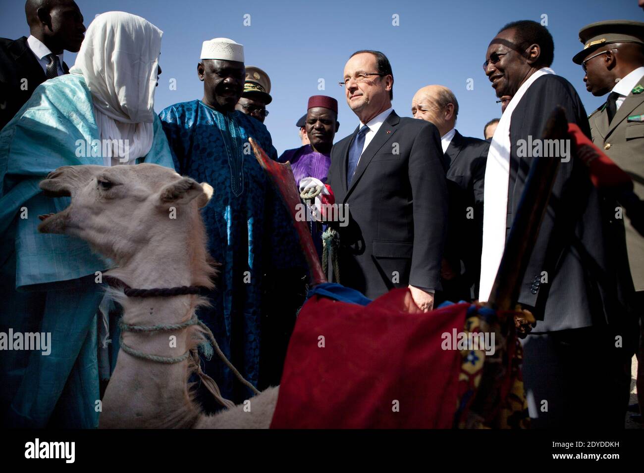 President Francois Hollande receives a camel as gift in Timbuktu, Mali on February 2, 2013. Photo by Julien Tack/ABACAPRESS.COM Stock Photo - Alamy