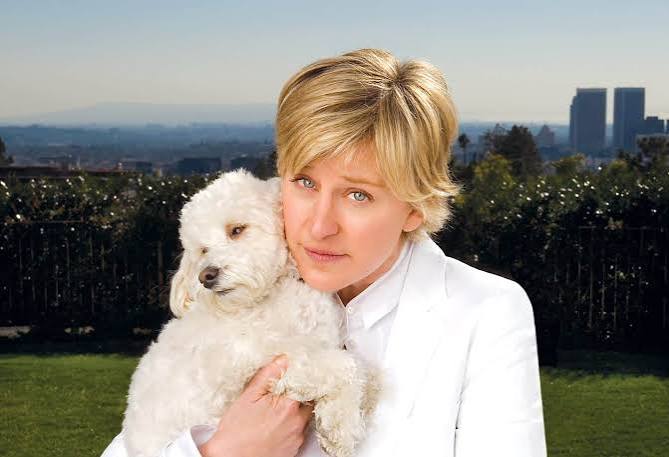 Ellen DeGeneres On Life & Dogs - Modern Dog Magazine
